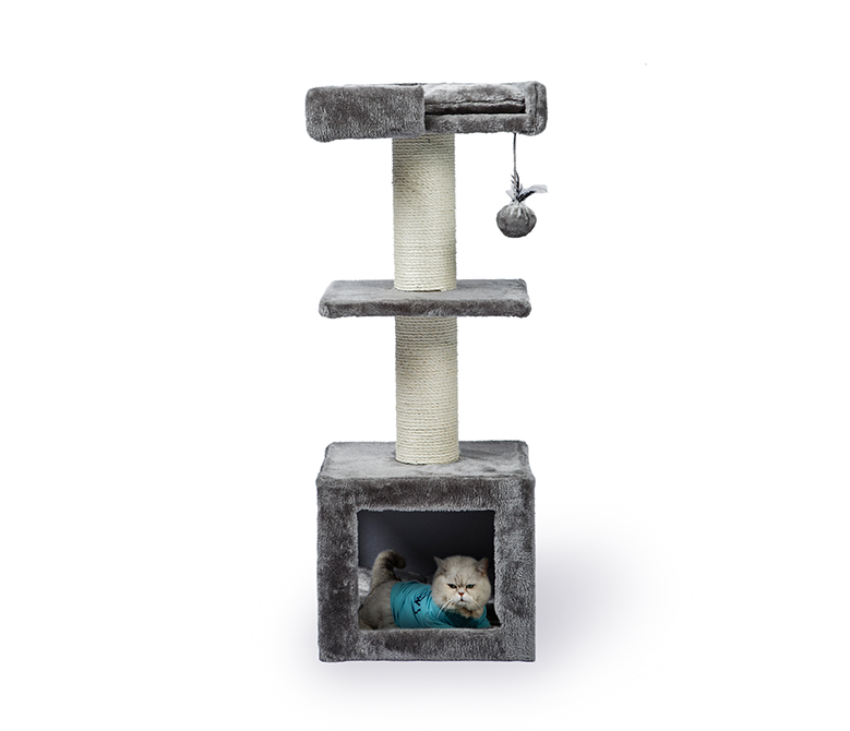 أشجار صغيرة للقطط