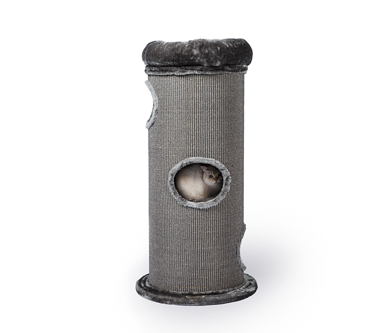 برميل القطط