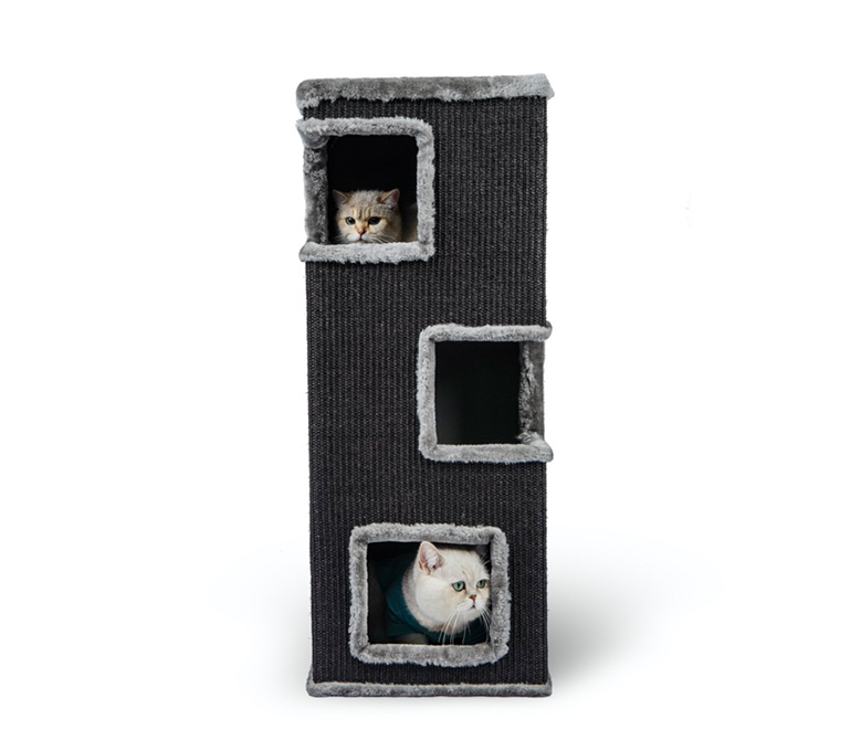 برميل القطط