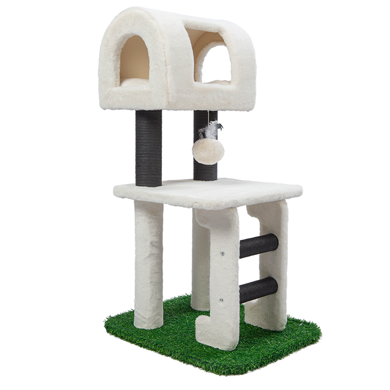 cat scratch post